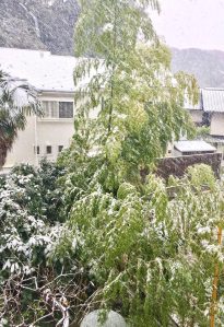 15138350_10154646011561788_761383619984784894_o