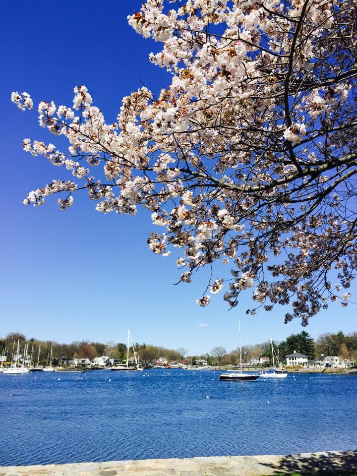 11022622_10153243782351788_2612079861902988939_n